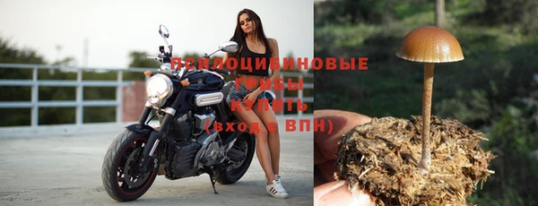 бошки Бородино