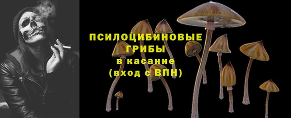эйфоретик Бронницы