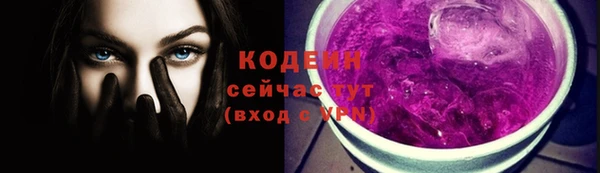 бошки Бородино