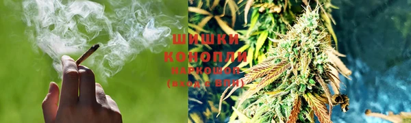 бошки Бородино